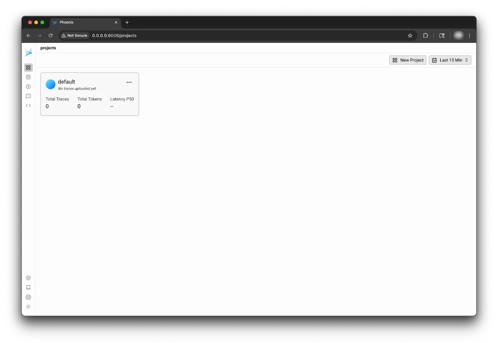 Phoenix dashboard initialization showing a clean interface with project overview and navigation menu